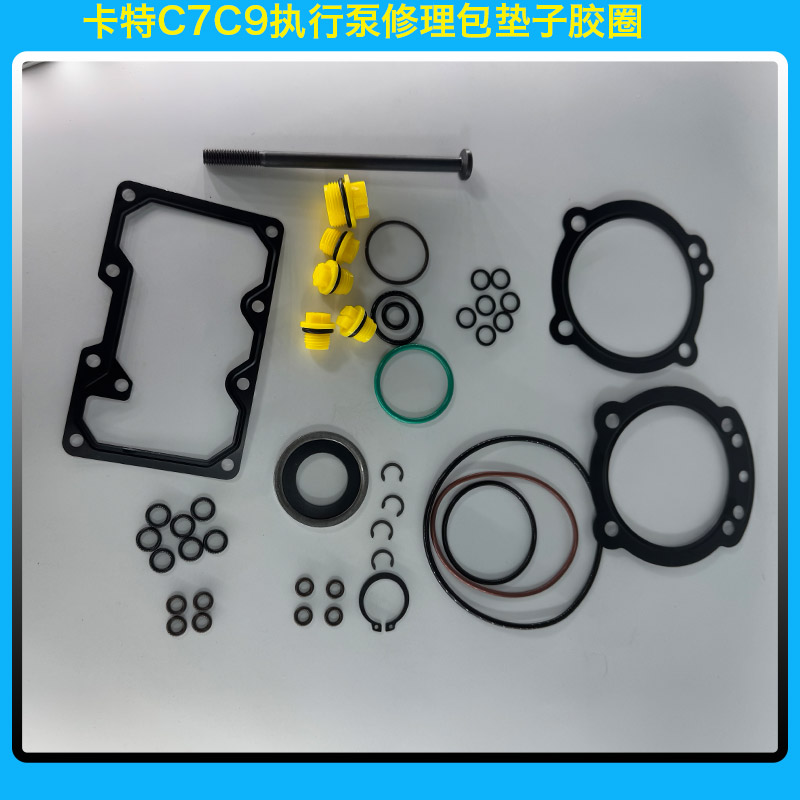 891825 Diesel Fuel Oil Pump Repair Kits